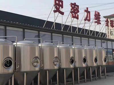 肃南精酿啤酒设备厂—如何判断精酿啤酒设备的密封件需要更换？