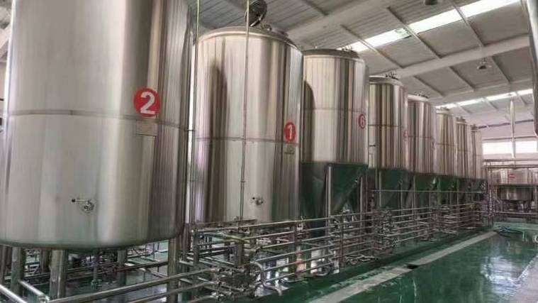 肃南日产10吨精酿啤酒设备多少钱?2026年全套报价帮你算明白